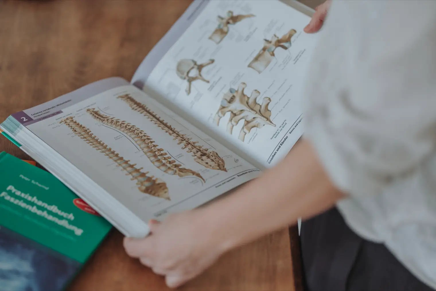 Aufgeschlagenes Anatomiebuch mit Darstellungen der Wirbelsäule und einzelner Wirbel.