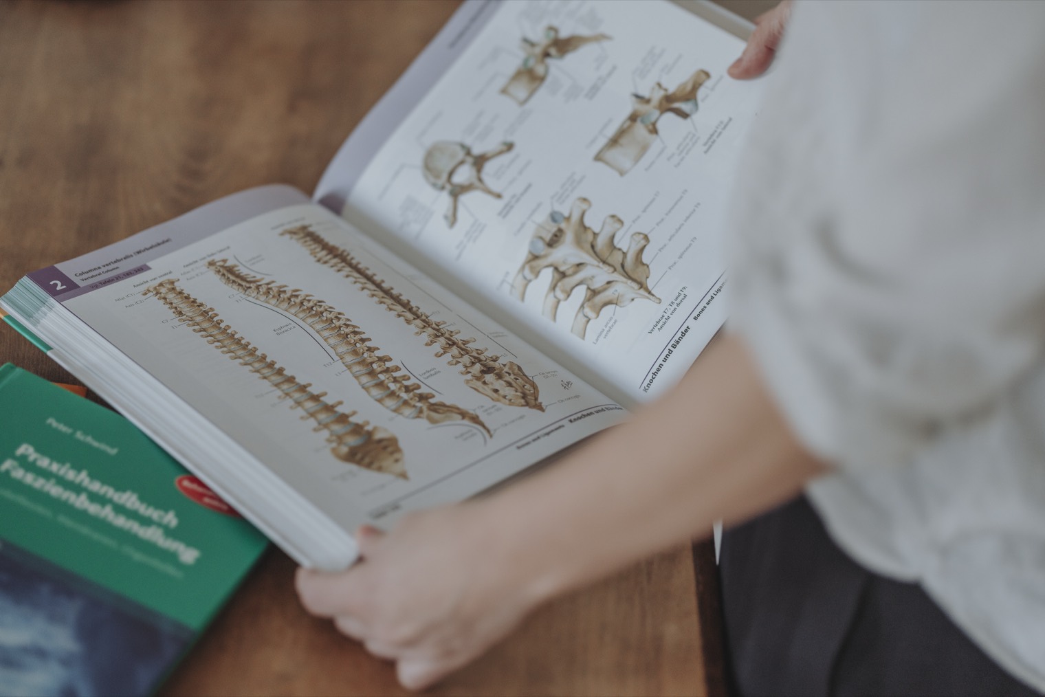 Aufgeschlagenes Anatomiebuch mit Darstellungen der Wirbelsäule und einzelner Wirbel.